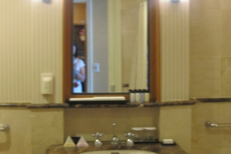 Paradise Hotel Busan  (15/43)
