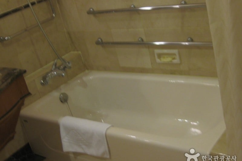 Paradise Hotel Busan  (16/43)