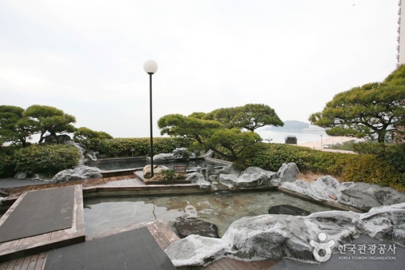 Paradise Hotel Busan  (23/43)