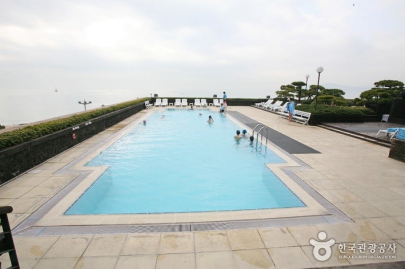 Paradise Hotel Busan  (25/43)
