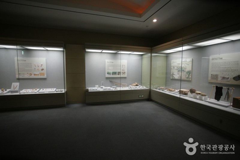 Busan Museum  (2/14)