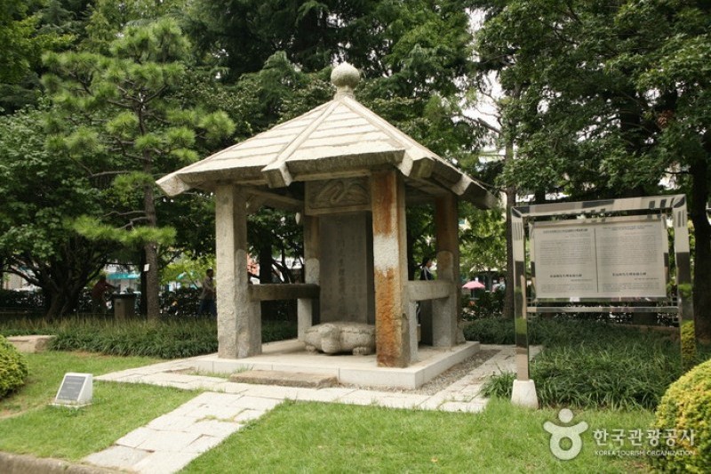 Busan Museum  (8/14)