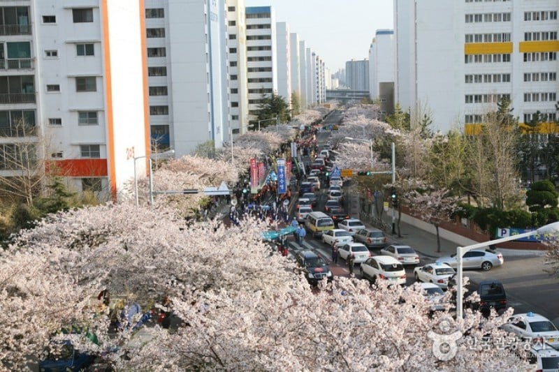 Gwangalli Eobang Festival  (3/25)