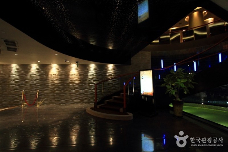 Paradise Casino - Busan Branch  (1/4)