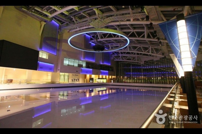 Shinsegae Department Store Ice Rink - Centum City Branch  (3/5)