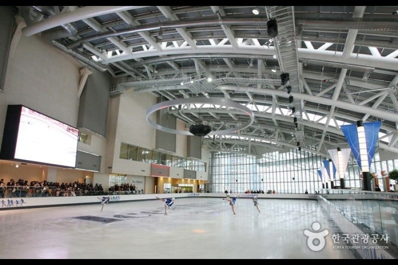 Shinsegae Department Store Ice Rink - Centum City Branch  (4/5)