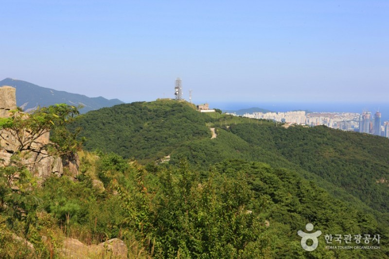 Geumnyeonsan Mountain  (1/3)