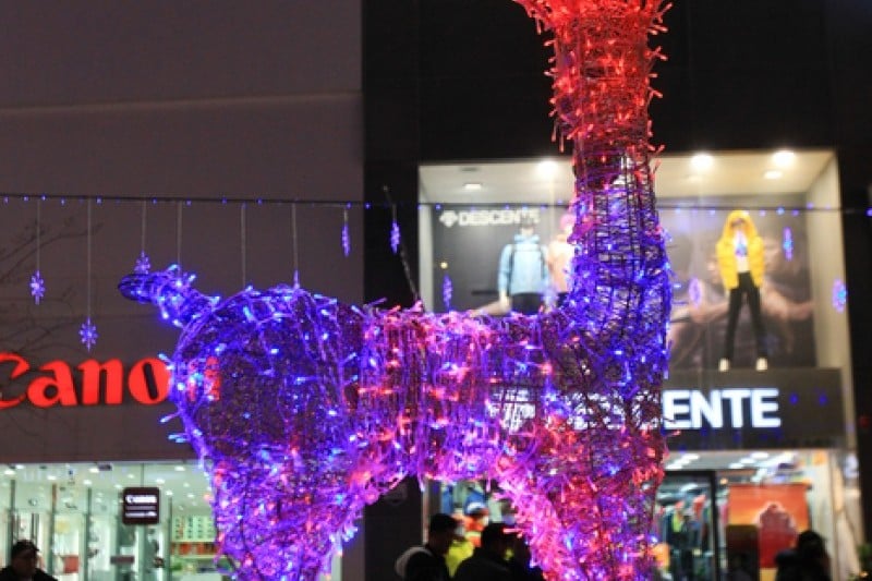 Busan Christmas Tree Festival  (4/19)