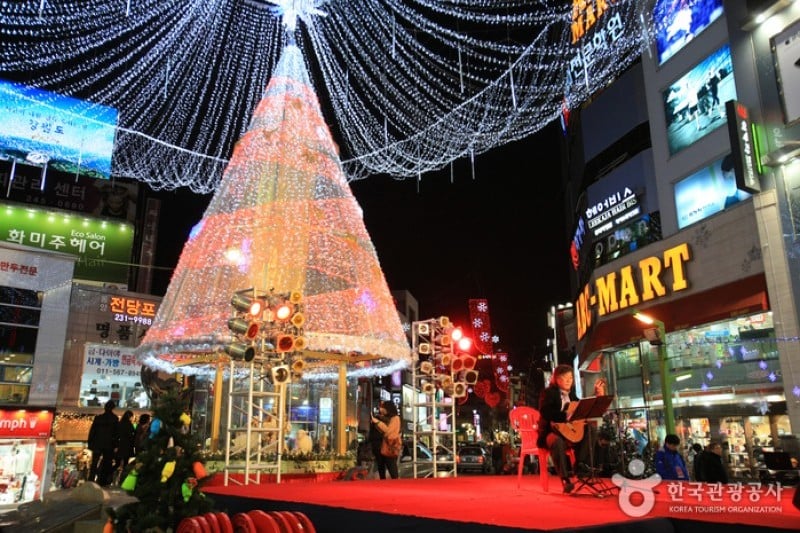 Busan Christmas Tree Festival  (6/19)