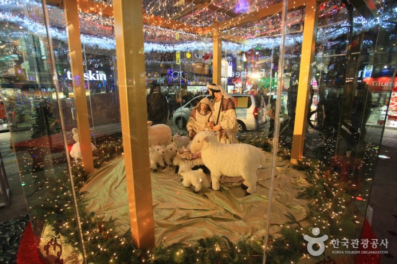 Busan Christmas Tree Festival  (7/19)