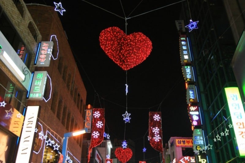 Busan Christmas Tree Festival  (8/19)