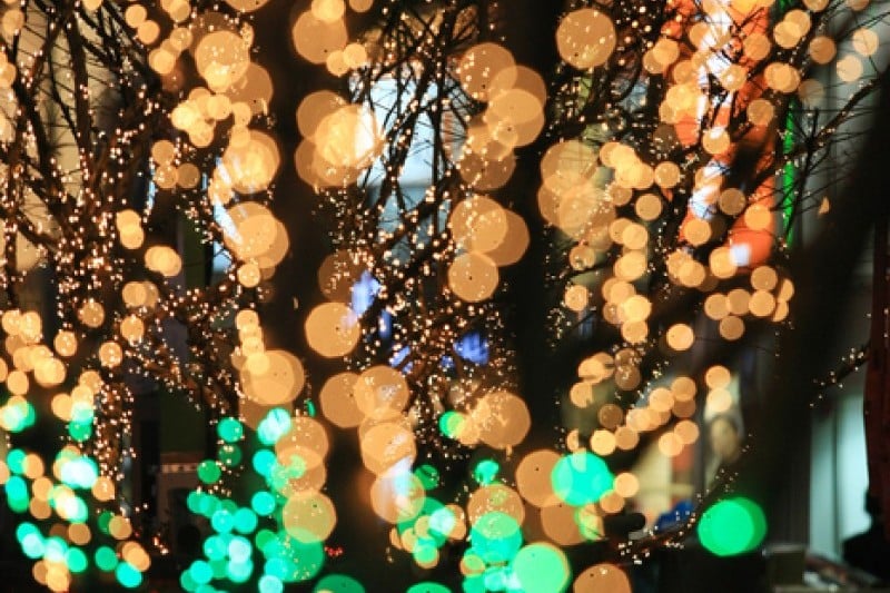 Busan Christmas Tree Festival  (11/19)