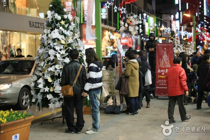 Busan Christmas Tree Festival  (14/19)
