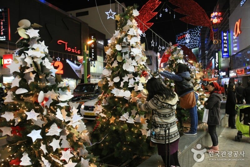 Busan Christmas Tree Festival  (15/19)