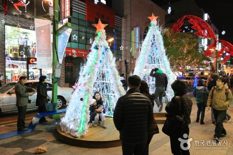 Busan Christmas Tree Festival  (17/19)