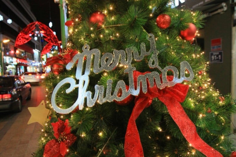 Busan Christmas Tree Festival  (18/19)