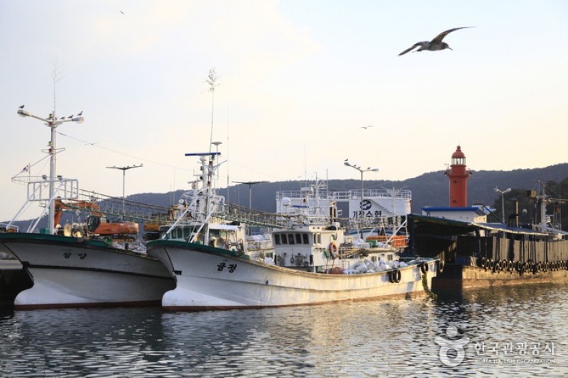 Busan Gijang Anchovy Festival  (2/6)
