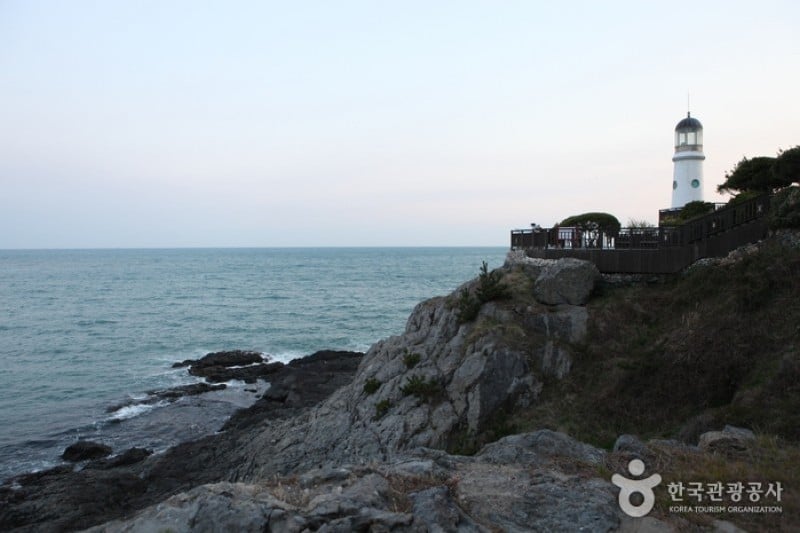 Haeundae Dongbaekseom Island  (1/24)