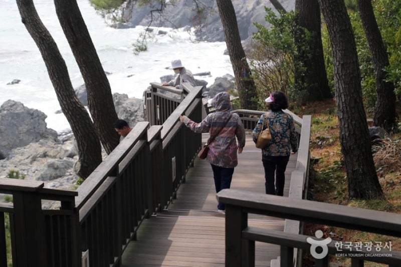 Haeundae Dongbaekseom Island  (4/24)