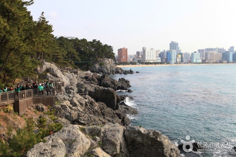 Haeundae Dongbaekseom Island  (8/24)