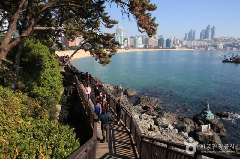 Haeundae Dongbaekseom Island  (13/24)