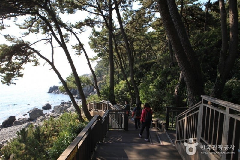 Haeundae Dongbaekseom Island  (14/24)