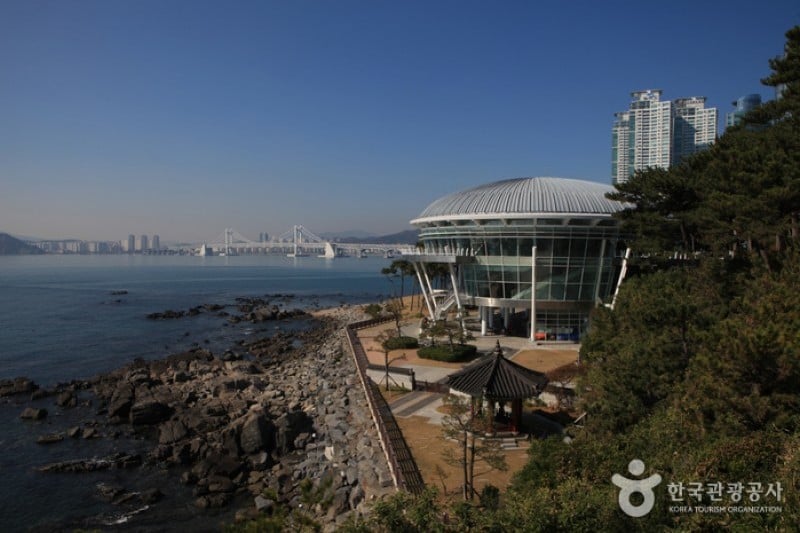 Haeundae Dongbaekseom Island  (16/24)