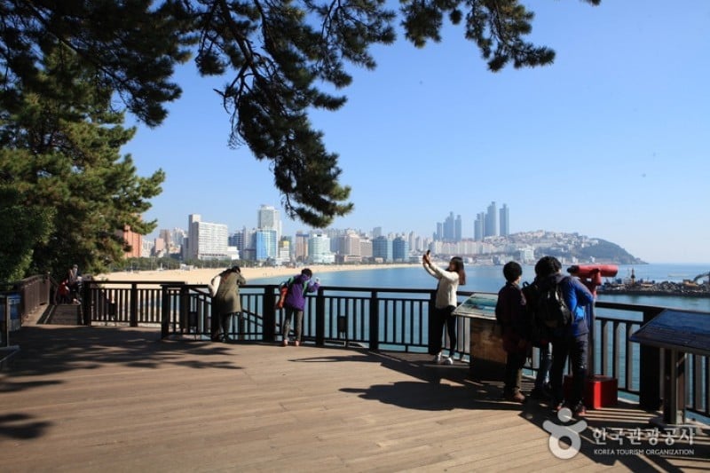 Haeundae Dongbaekseom Island  (17/24)