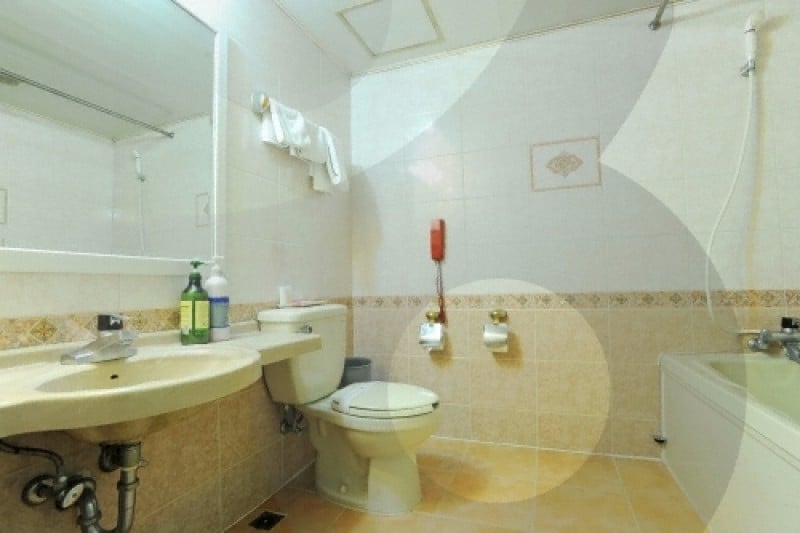 Hotel Arirang Busan  (27/32)