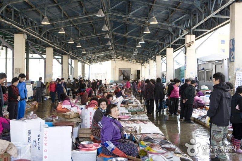 Jagalchi Market Hoe  (4/10)