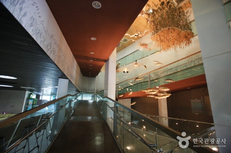 Nakdong Estuary Eco-Center  (1/12)