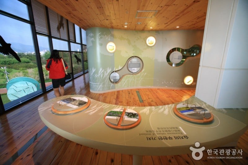 Nakdong Estuary Eco-Center  (2/12)
