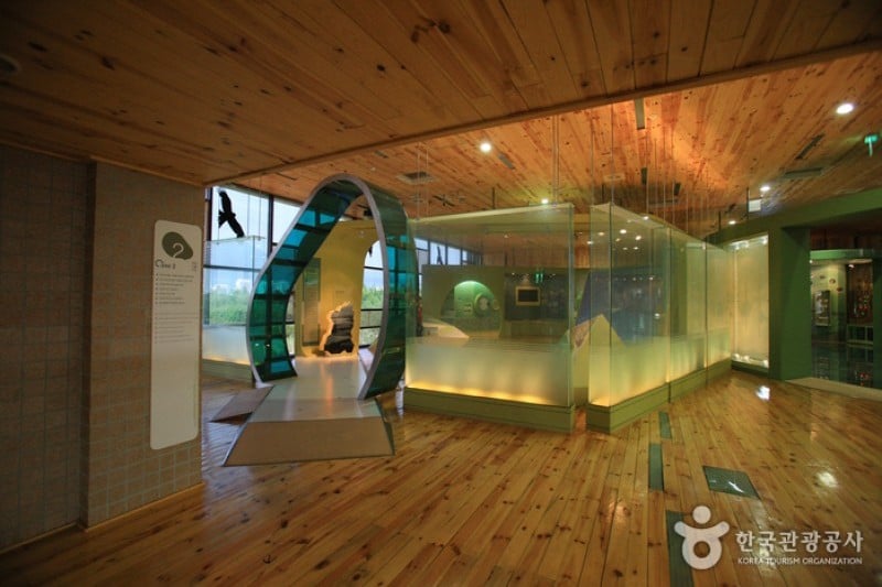 Nakdong Estuary Eco-Center  (3/12)