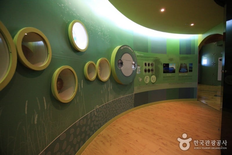 Nakdong Estuary Eco-Center  (4/12)