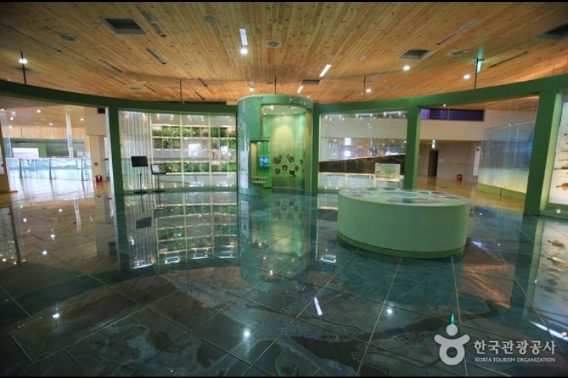 Nakdong Estuary Eco-Center  (5/12)