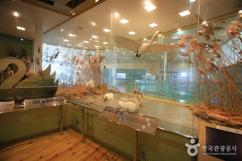 Nakdong Estuary Eco-Center  (6/12)