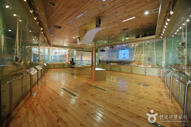 Nakdong Estuary Eco-Center  (7/12)