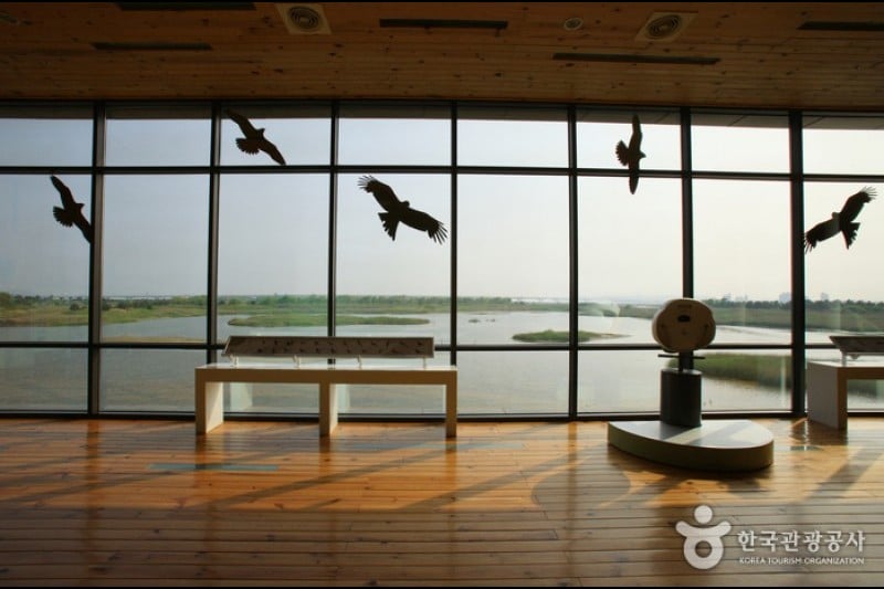 Nakdong Estuary Eco-Center  (8/12)