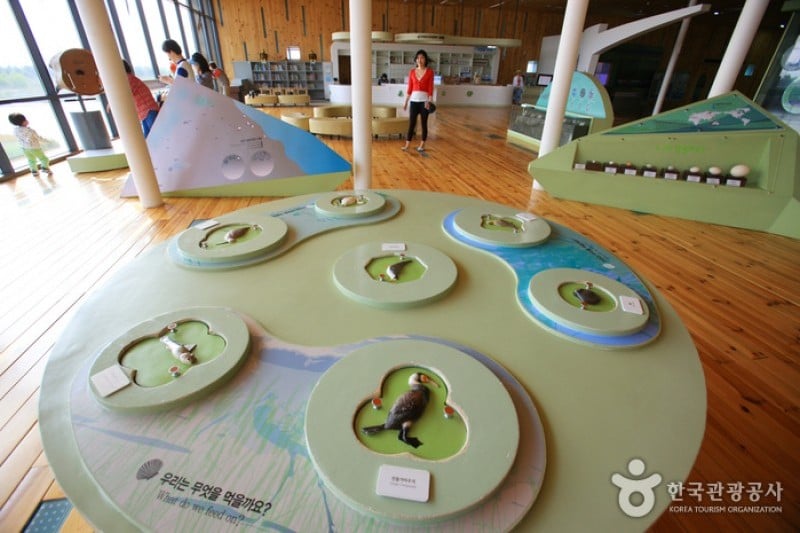 Nakdong Estuary Eco-Center  (11/12)