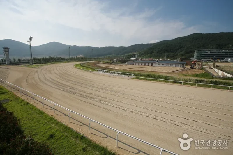 Let's Run Park Busan Gyeongnam  (2/5)