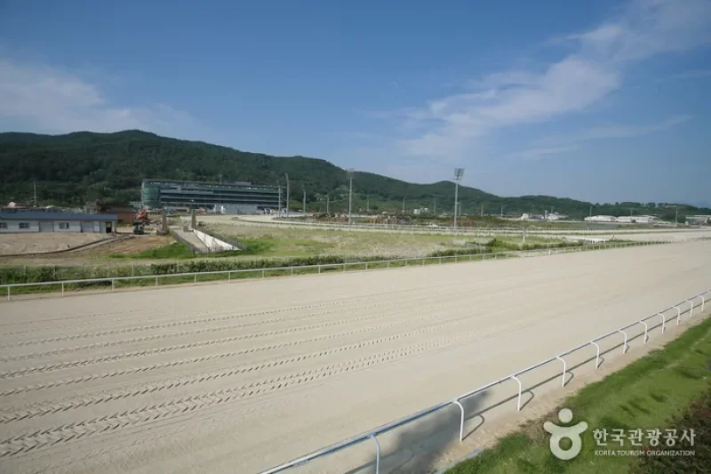 Let's Run Park Busan Gyeongnam  (3/5)