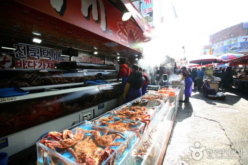 Gijang Market  (6/6)