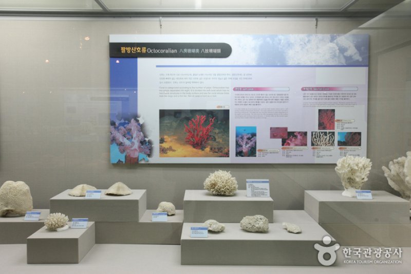 Busan Marine Natural History Museum  (2/21)