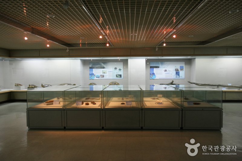Busan Marine Natural History Museum  (4/21)