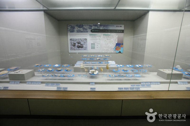 Busan Marine Natural History Museum  (6/21)