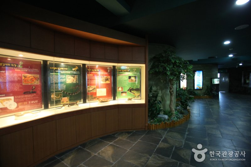 Busan Marine Natural History Museum  (7/21)