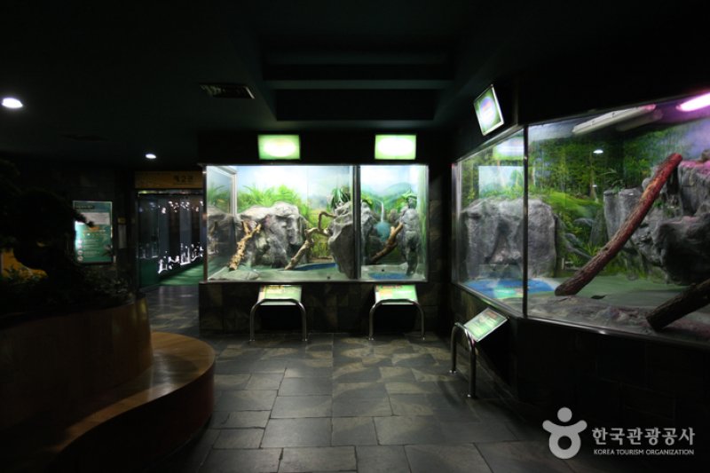 Busan Marine Natural History Museum  (8/21)