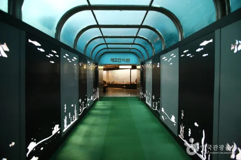 Busan Marine Natural History Museum  (9/21)
