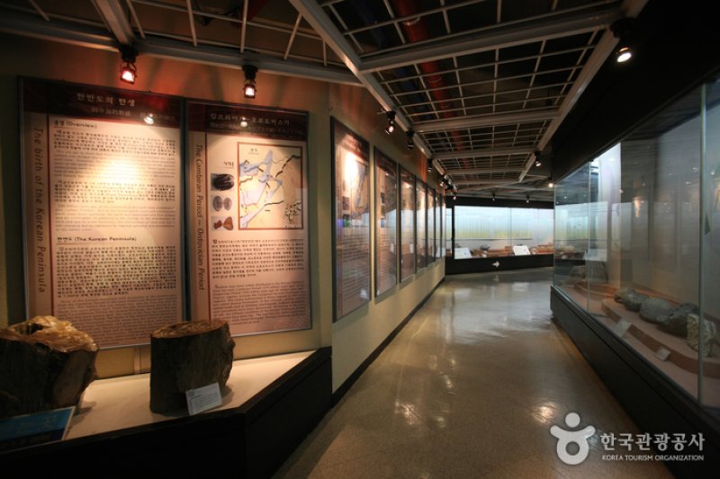 Busan Marine Natural History Museum  (10/21)