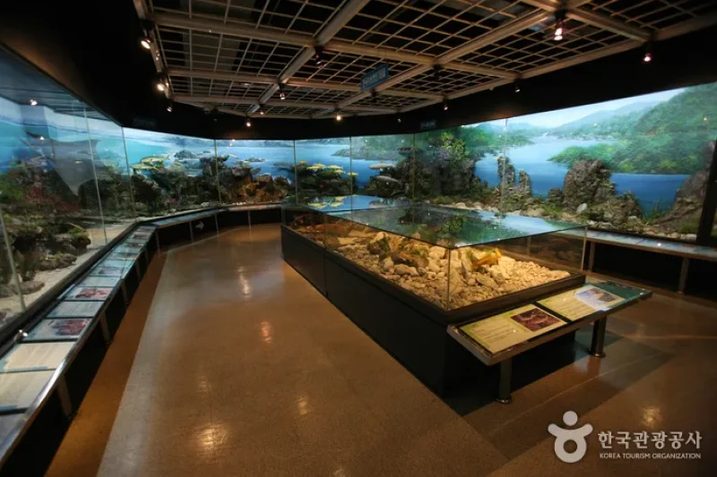 Busan Marine Natural History Museum  (12/21)